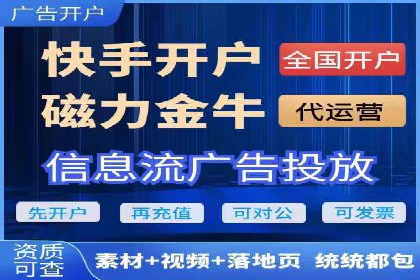 某电商平台的SEM推广策略全解析